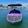 2022 FANTAIL 217 | PURPLE & BLACK | FULLY EQUIPPED